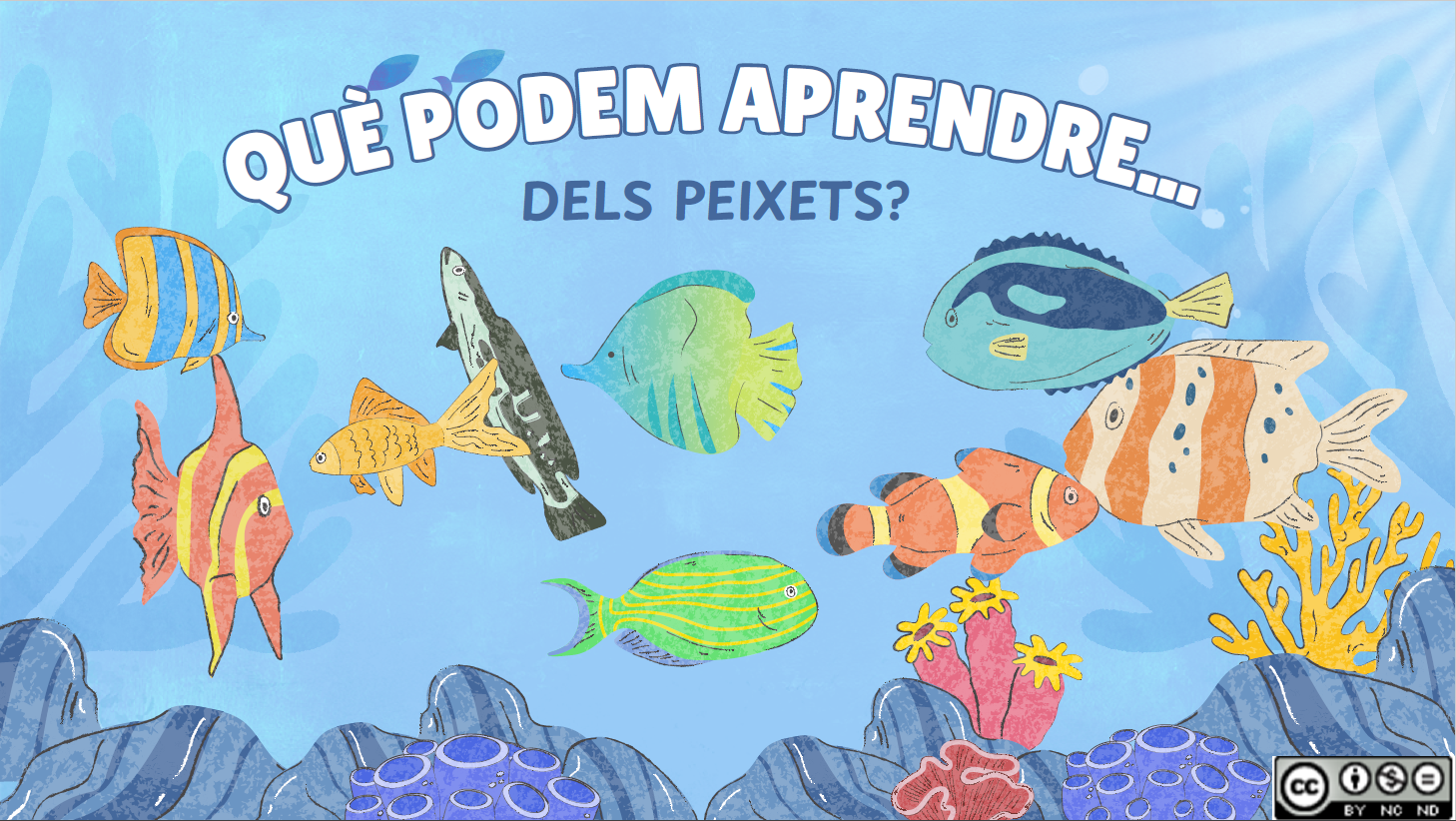 Què podem aprendre dels peixets?