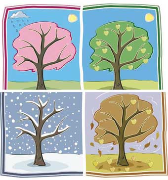 LES 4 ESTACIONS DE L'ANY