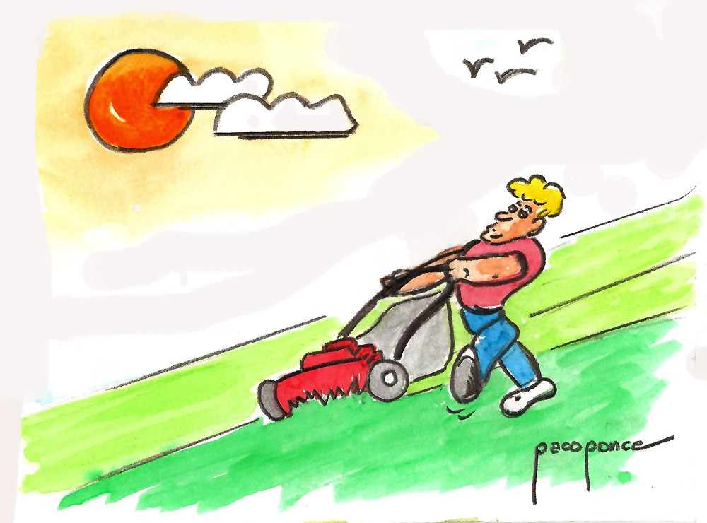 Actividad de aula o de casa con videos explicativos