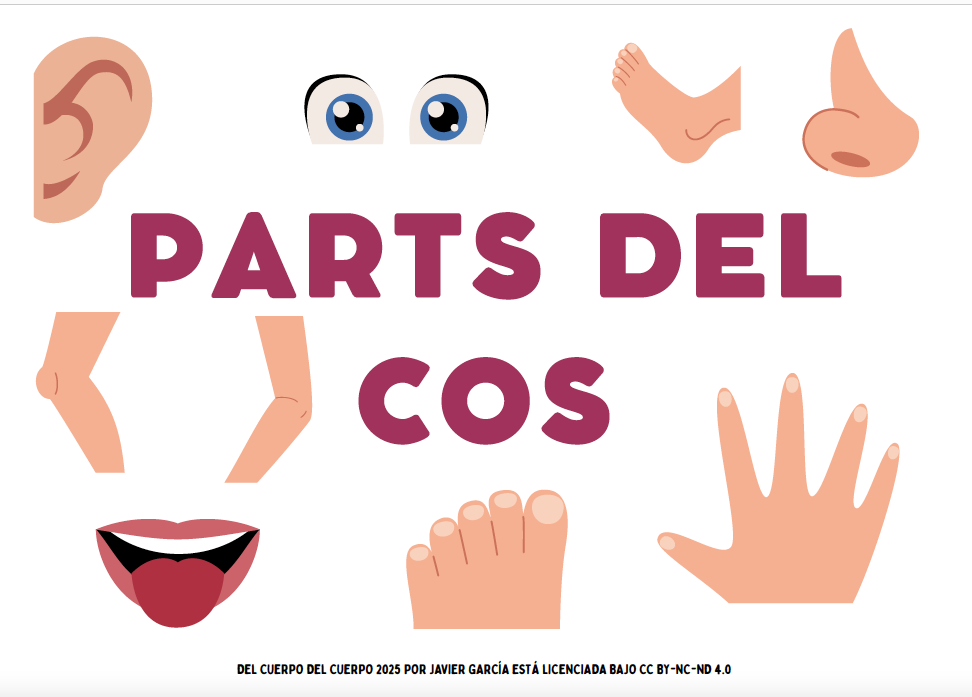 Partes del cuerpo