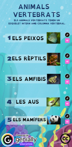 Els animals vertebrats