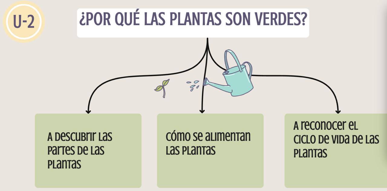Portada ¿por qué las plantas son verdes?