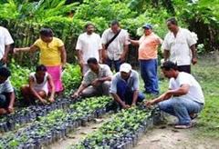 Comercio internacional  también en Africa?