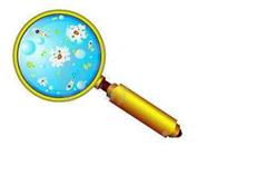 Un mundo invisible para nuestros ojos