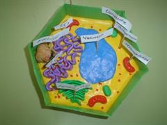 proyecto celula trabajo final