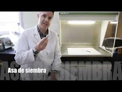 Formarse en clase invertida