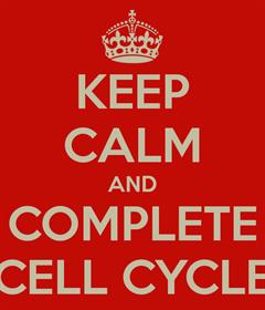 Keep calm and complete cell cycle