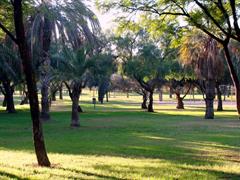 PROYECTO FINAL "El pulmón del cole" ABP