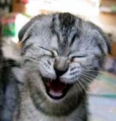 Un nuevo recurso de RicTaL