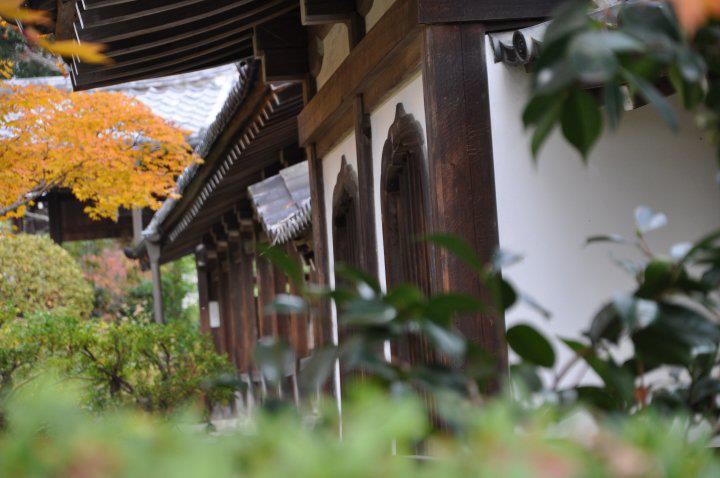 Aplicaciones y/o recursos web