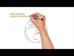 Cultural competence and key competence