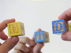 10 recursos para trabajar la ortografía en Primaria