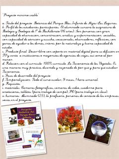 Proyecto mínimo viable, socialización rica y socios @jmpl66