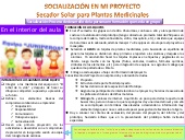 SOCIALIZACIÓN DE MI PROYECTO