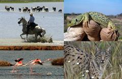 La fauna de mi tierra