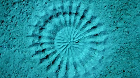 Underwater mystery. Proyecto de m-learning