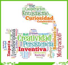 Valores del proyecto