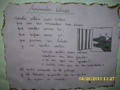 Trabajo Final ABP Los animales en semilibertad