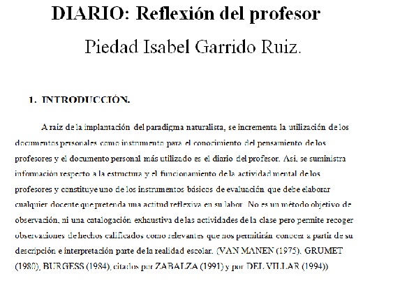 DIARIO: REFLEXIÓN DEL PROFESOR
