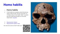 Módulo 4 Analizar: La evolución del Hombre