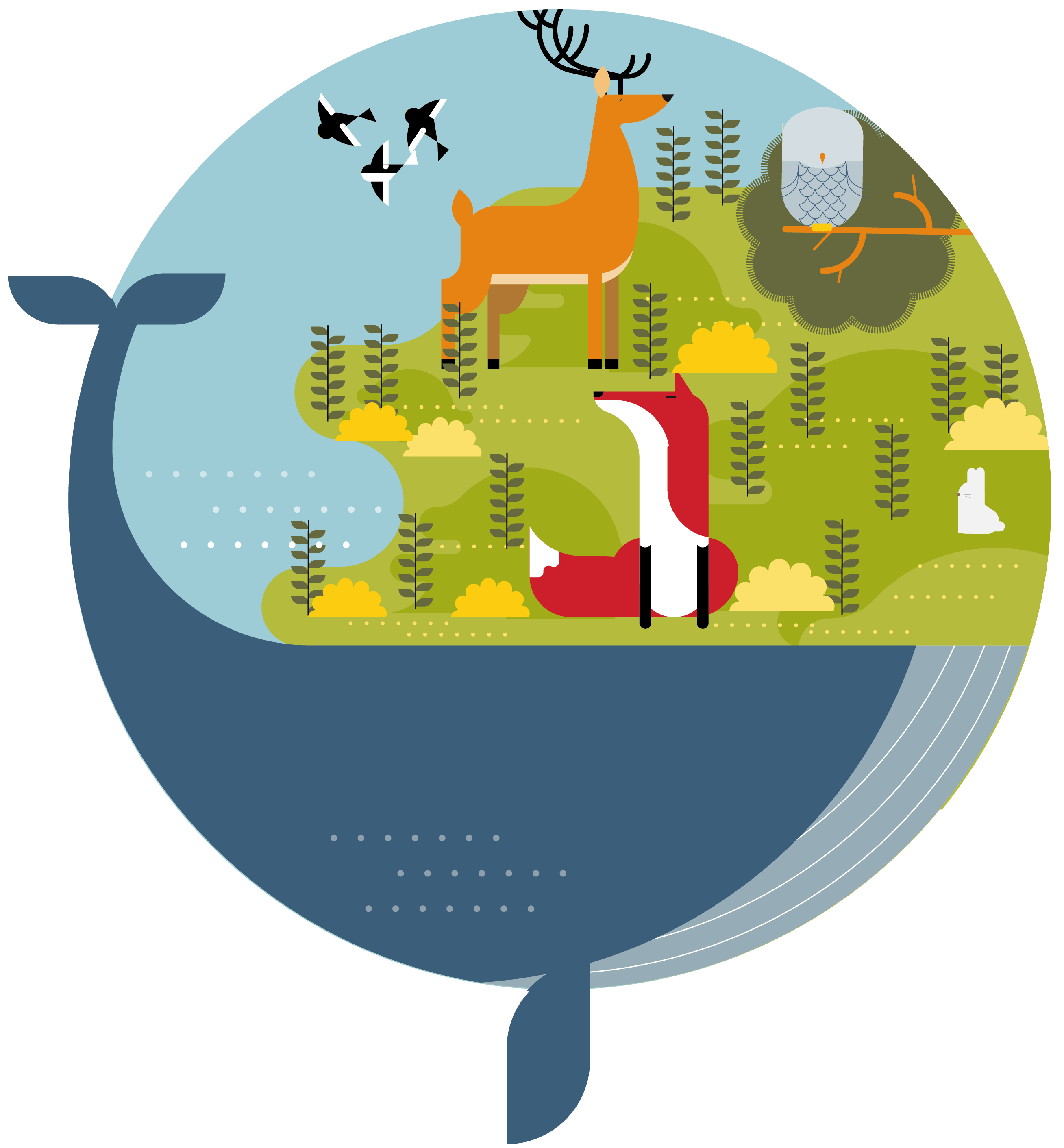 Biodiversidad Cantabria