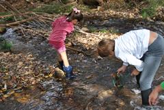 A HOMBROS DE GIGANTES