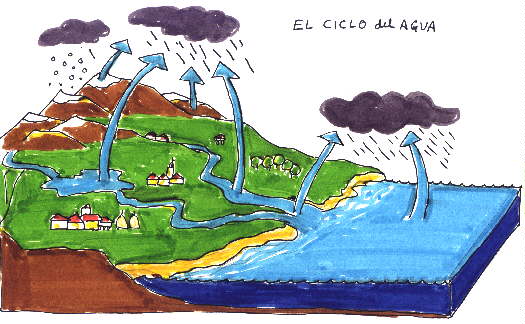 el ciclo hidrologico