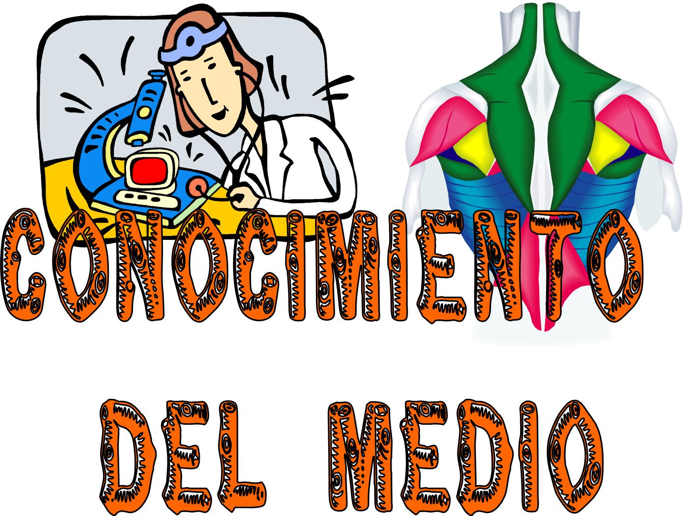 khoot CONOCIMIENTO DEL MEDIO TEMAS 1-4 SANTILLANA