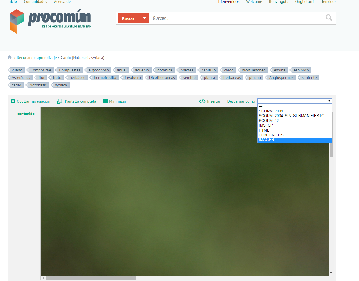 Descarga directa de imágenes