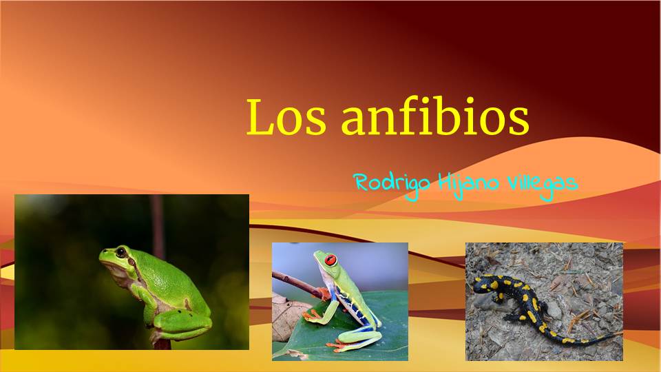 Herramientas TIC de apoyo a la enseñanza-aprendizaje