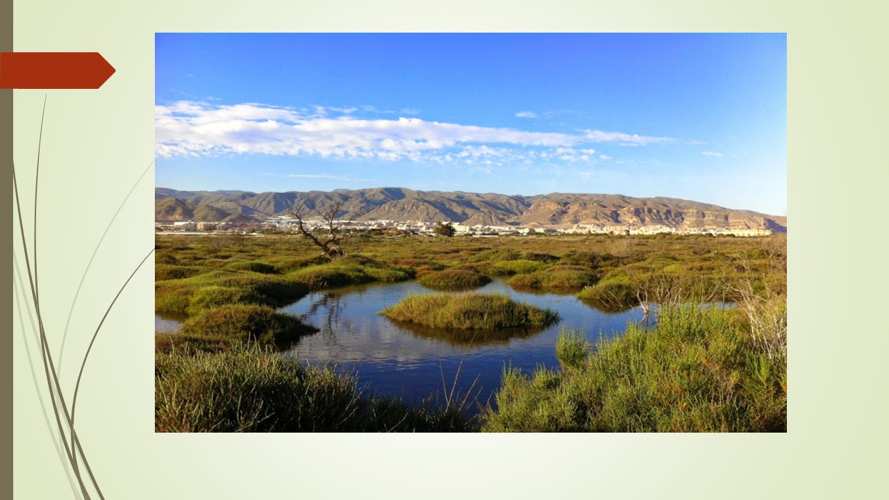 LA RIBERA DE LA ALGAIDA