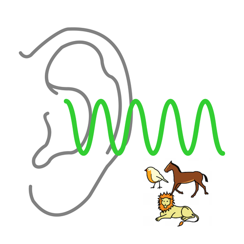 dis timbre-animales.jclic