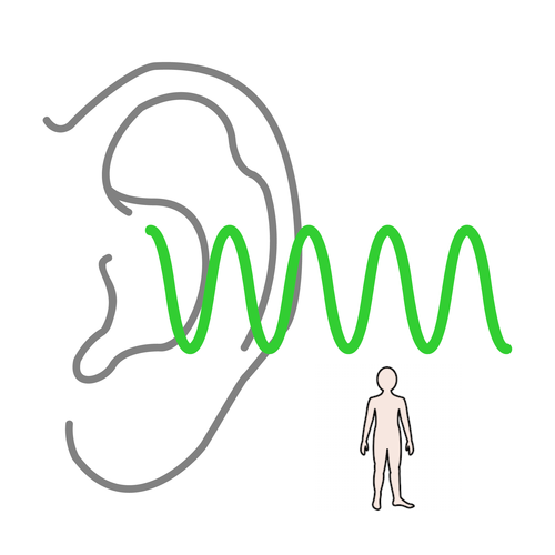 dis timbre-cuerpo.jclic