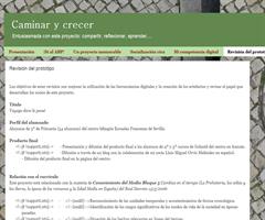 Revisión de mi prototipo