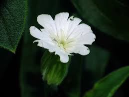 Herramientas TIC para el profesorado del turno de mañana