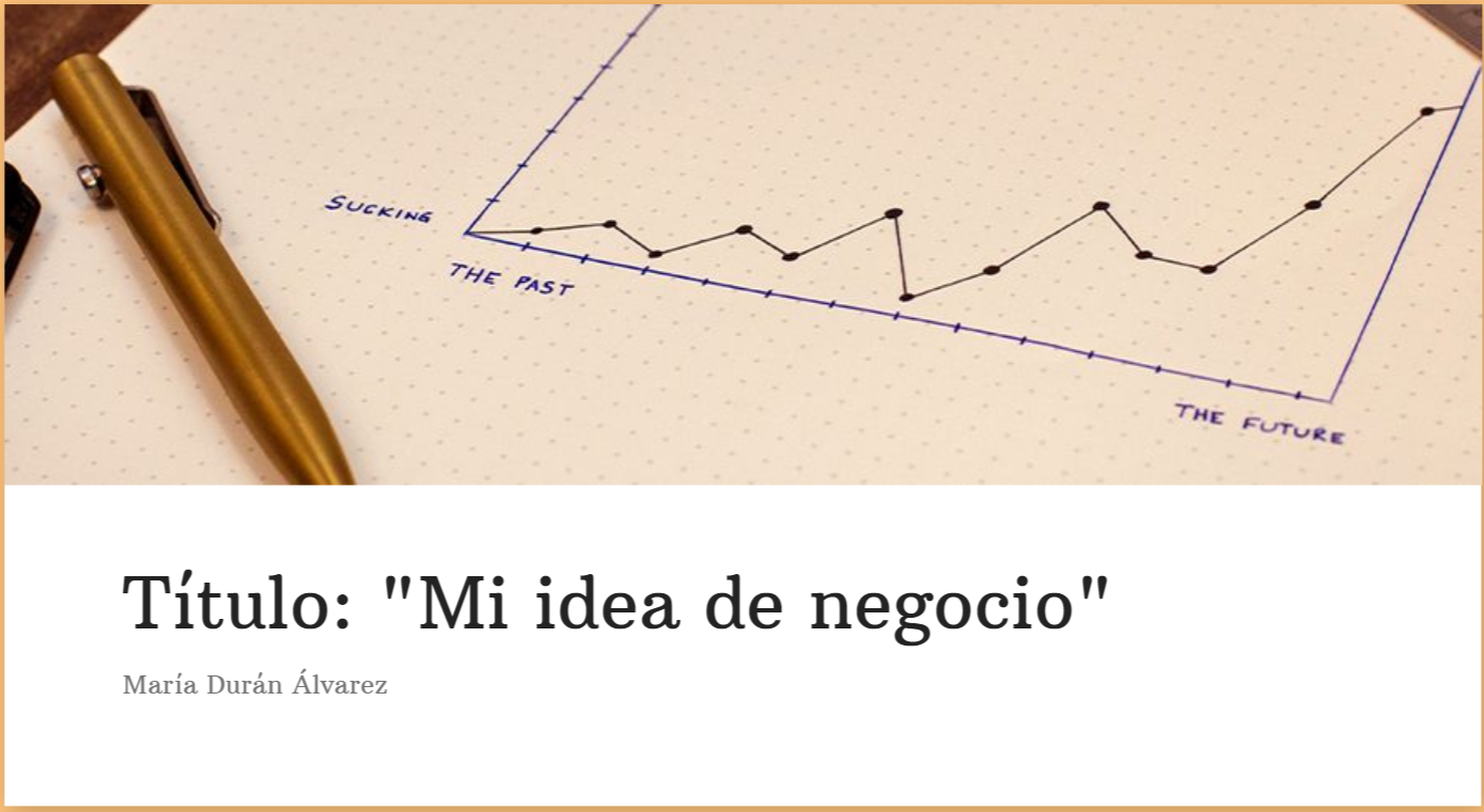 Mi idea de negocio