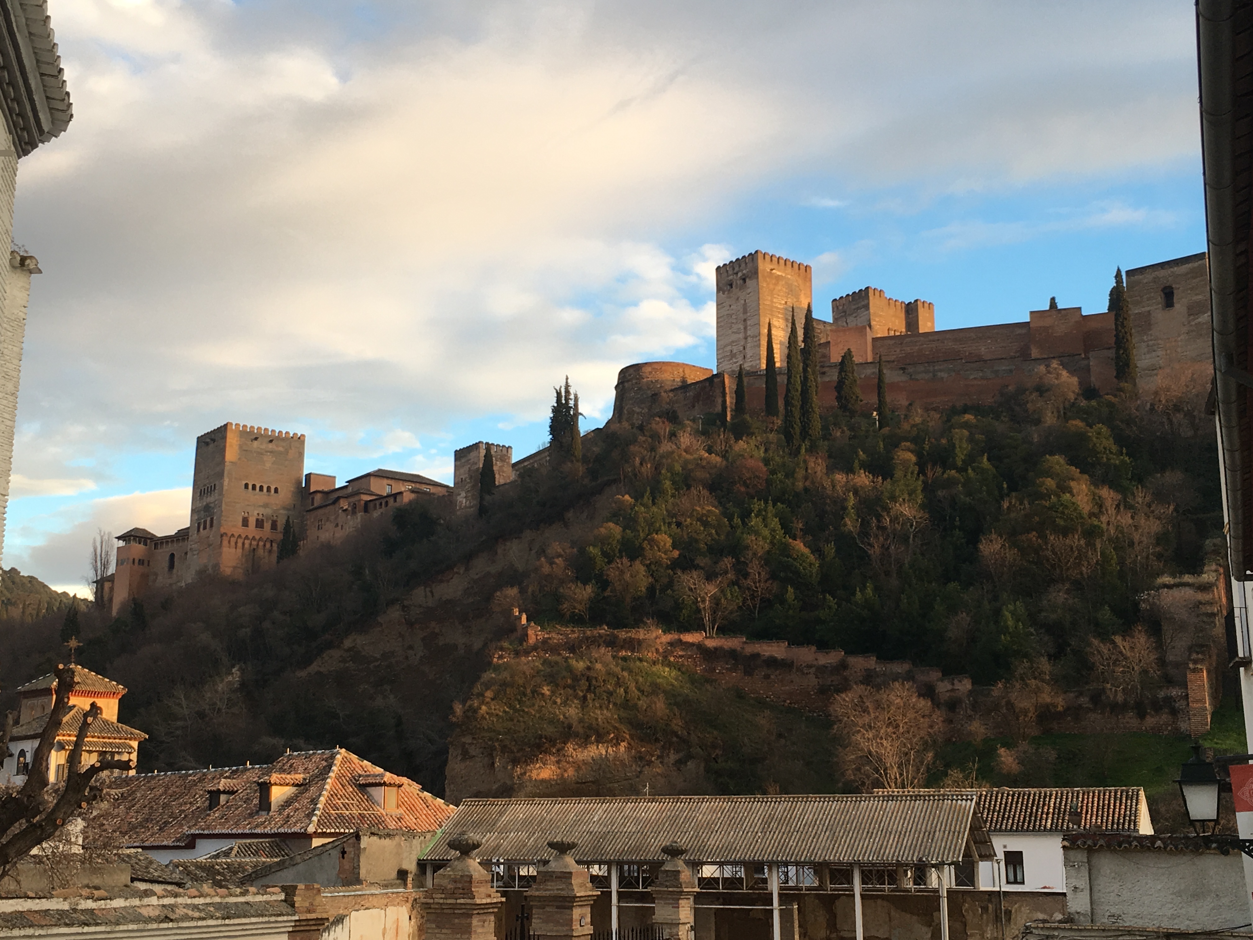 Nuestro Jardín en el Colegio
