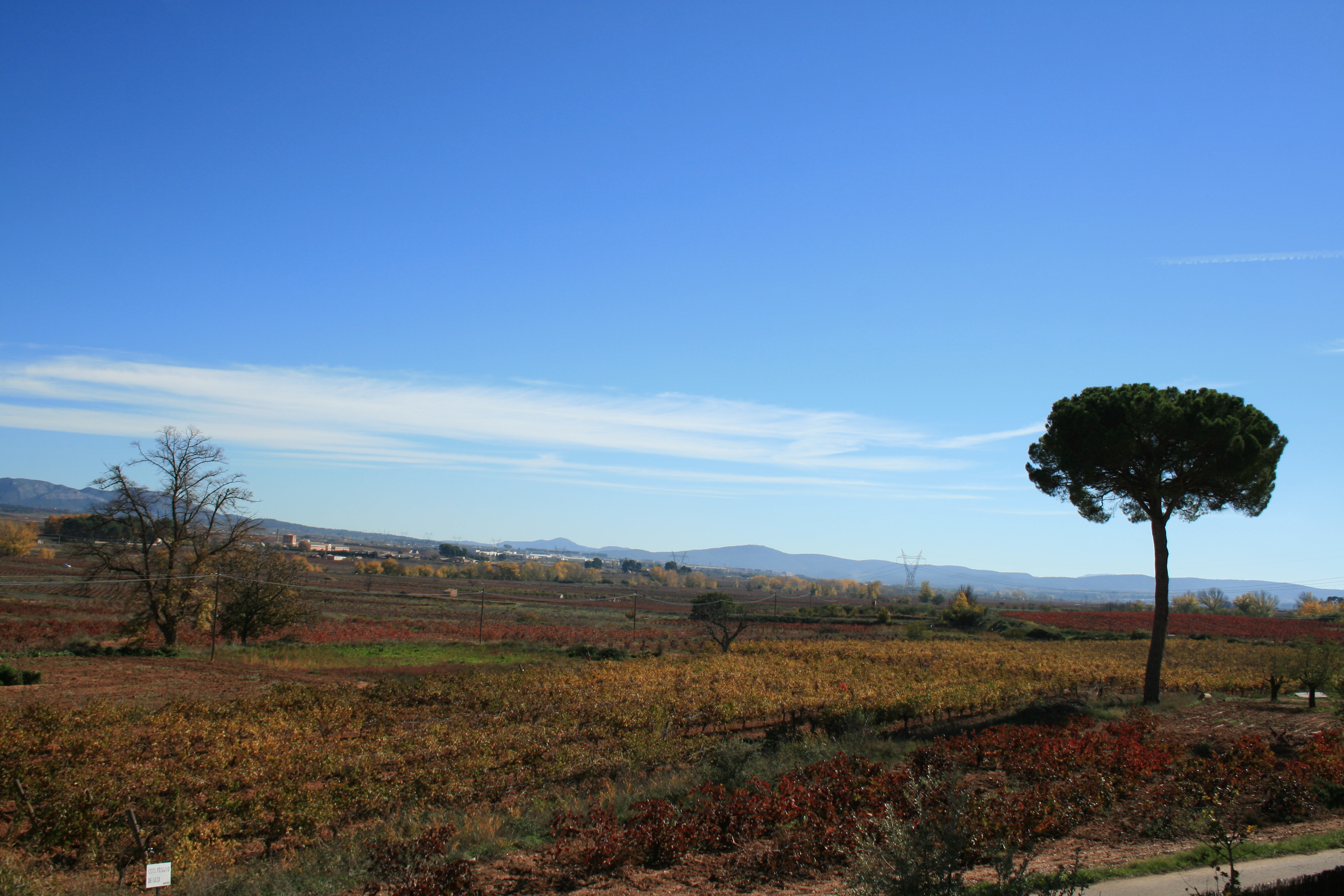 ¿Que hay detras de este paisaje?