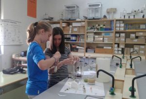 El "Club de Jóvenes Investigadores" y el "Investibach" para impulsar los procesos de investigación desde las aulas. Una experiencia práctica.