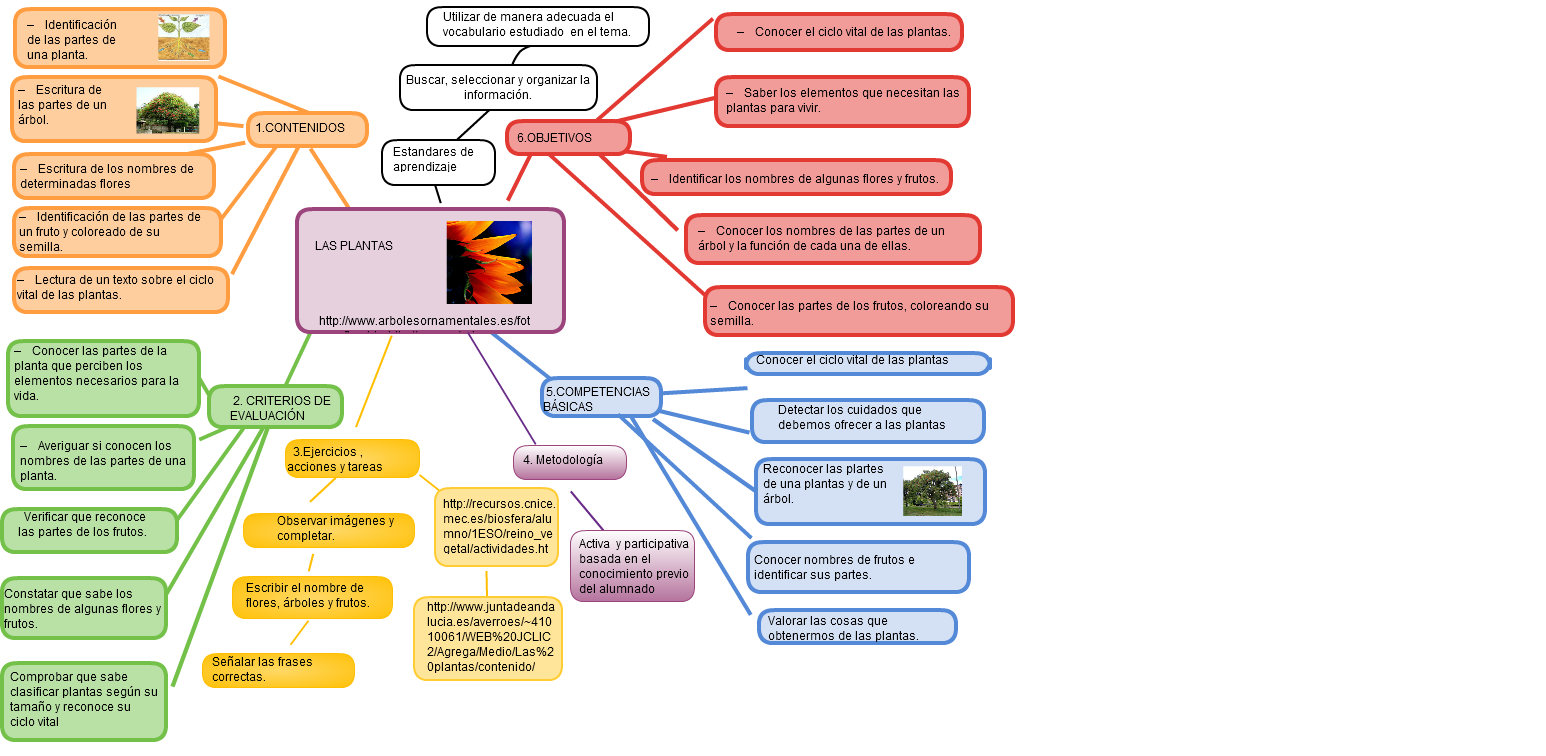 MAPA CONCEPTUAL "LAS PLANTAS"