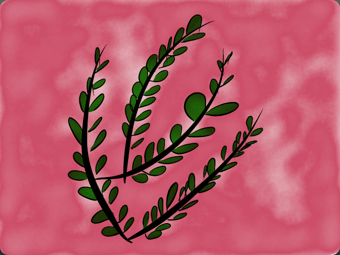 EN BUSCA DE LA PREGUNTA #CREA_INTEF Tarea 3.1 Berta Civera 2014 GrupoD6