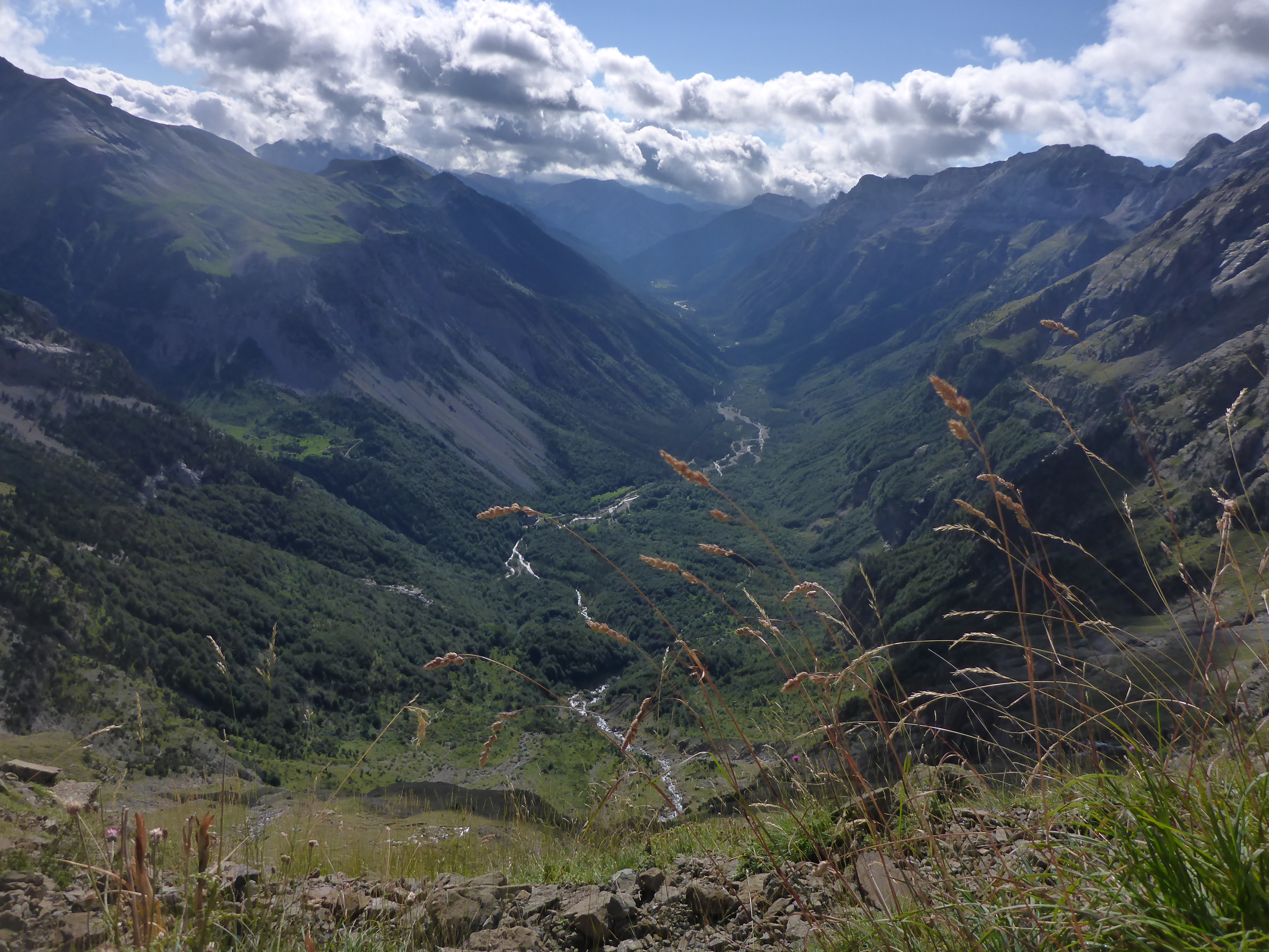 Proyectos atractivos