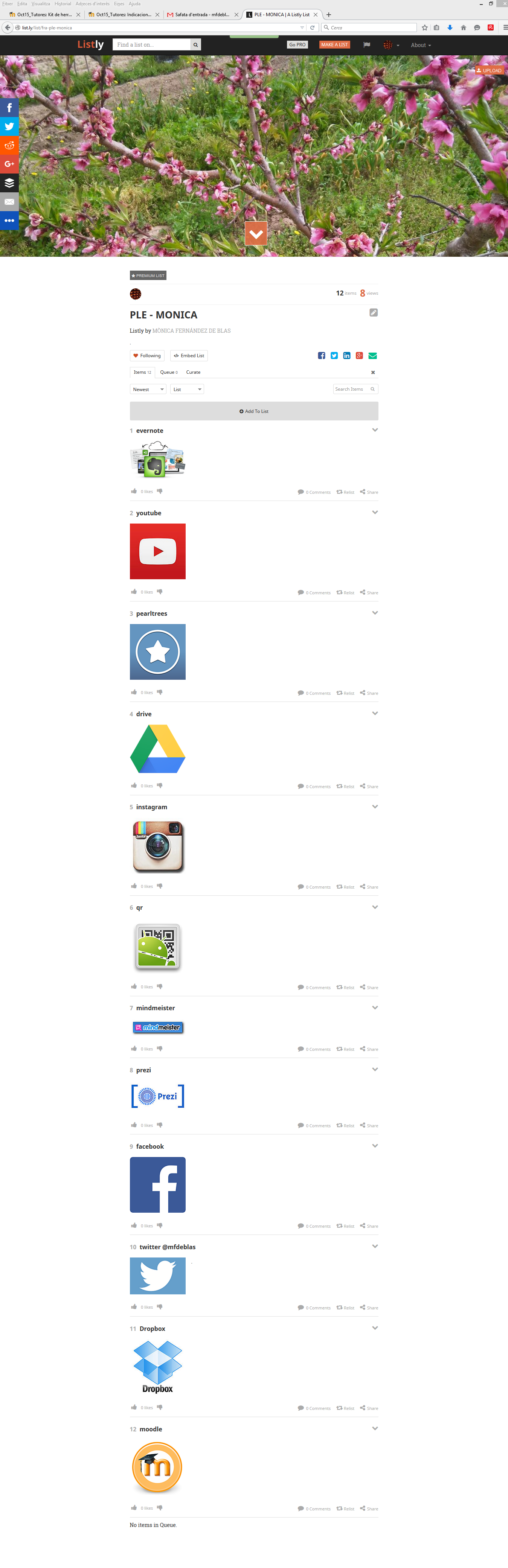 mi PLE monica fernandez