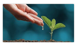 AGUA QUE TE QUIERO AGUA