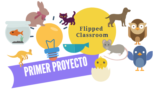 MI PRIMER PROYECTO FLIPPED