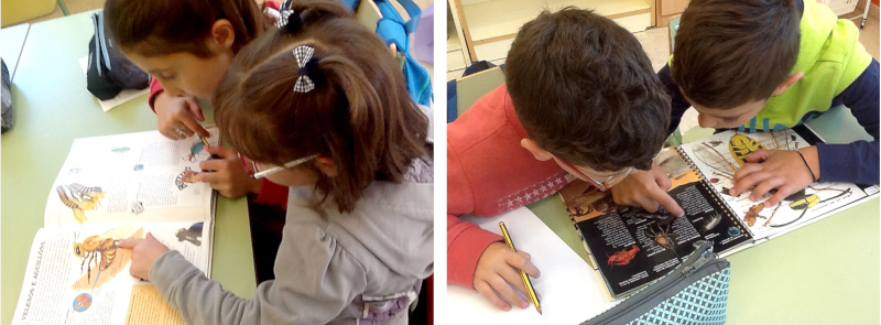 Recursos educativos abiertos para Primaria