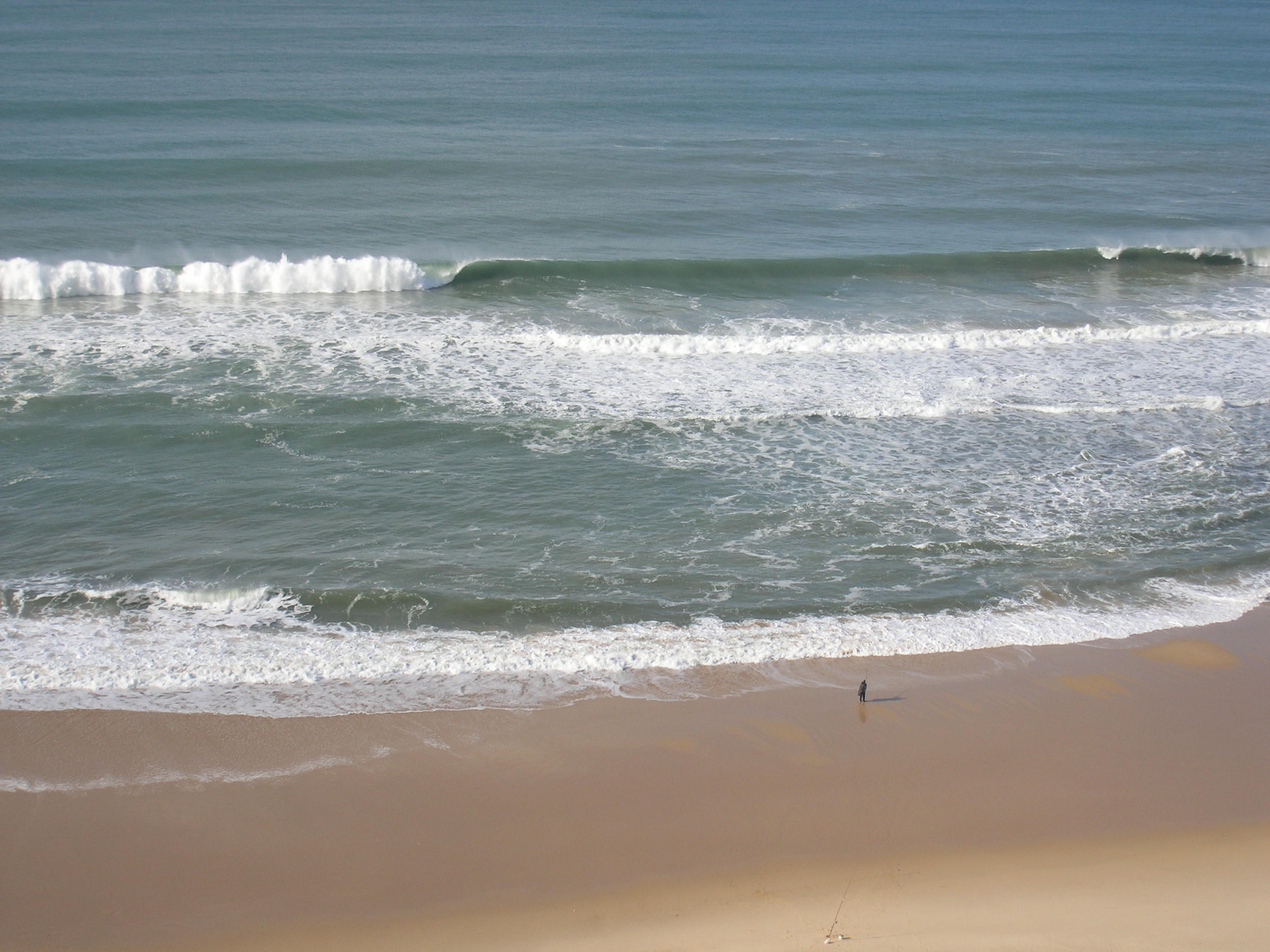 Libros imprescindibles para futuros biólogos