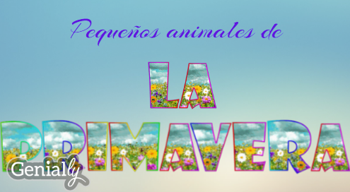 Pequeños animales de la primavera