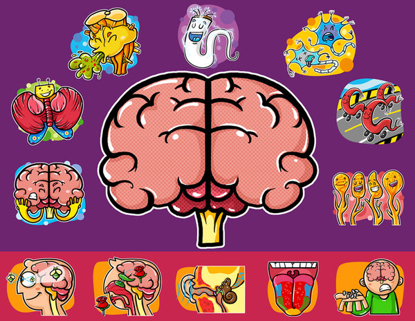 Mi primer proyecto Flipped Classroom "El director de nuestro cuerpo"