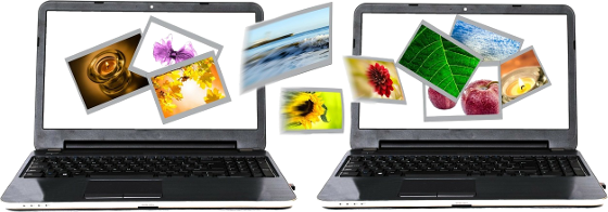 REA “A sport journalist”